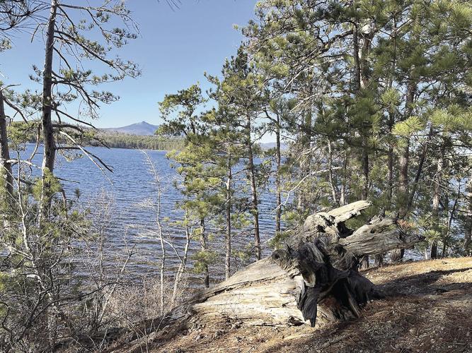 Wheel Family Fun - Madison gravel ride - Hurricane Point Natural Area