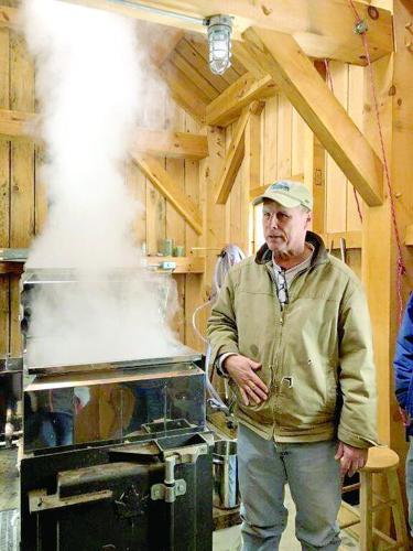 P1 dd12 Maple weekend 2.tif