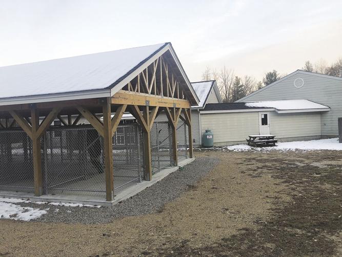 outdoor kennel angled
