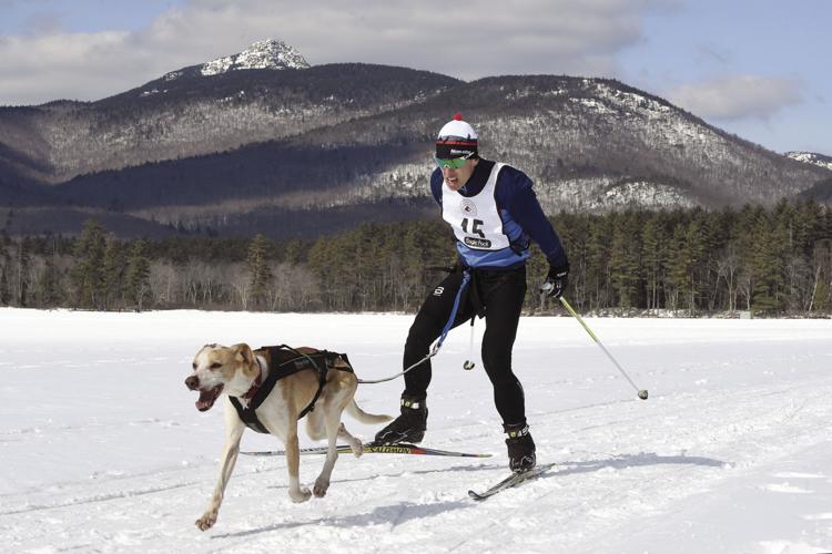 3-3-19 Tamworth sled dogs