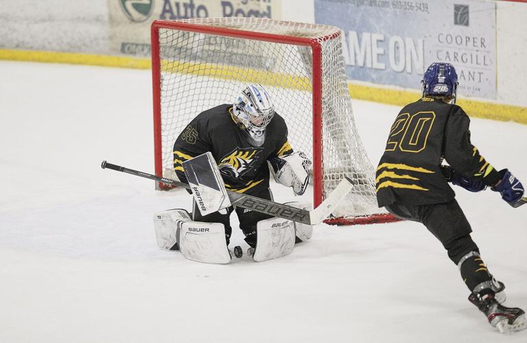 12-28-23 Peter Hall Hockey herrick alone