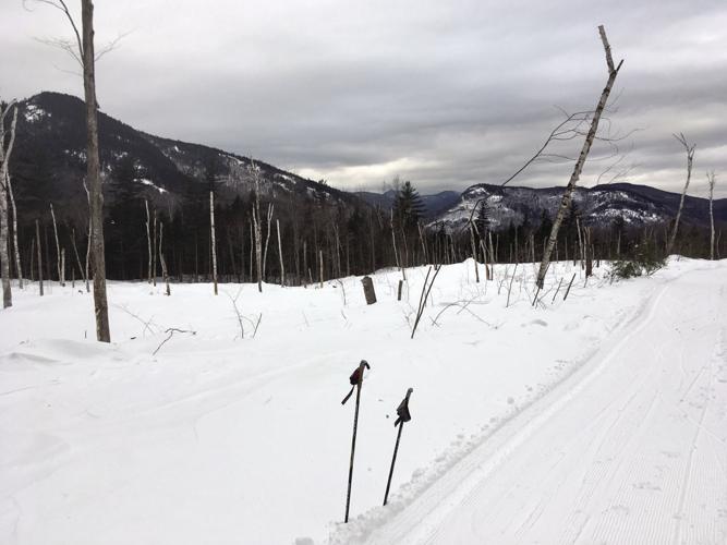 Nordic Tracks - Feb. 2