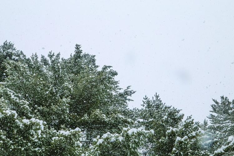 01-26-25 Snowstorm snow in sky