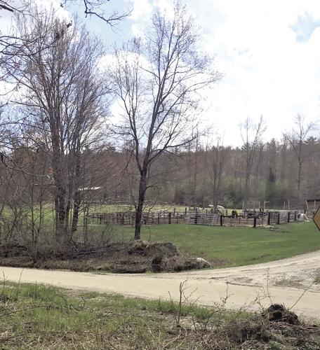 Wheel Family Fun - Farnsworth Road's fertile farms