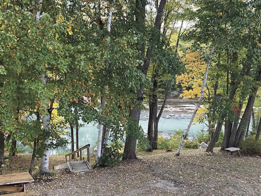 Saco of a different color? Woman spots unusual hue