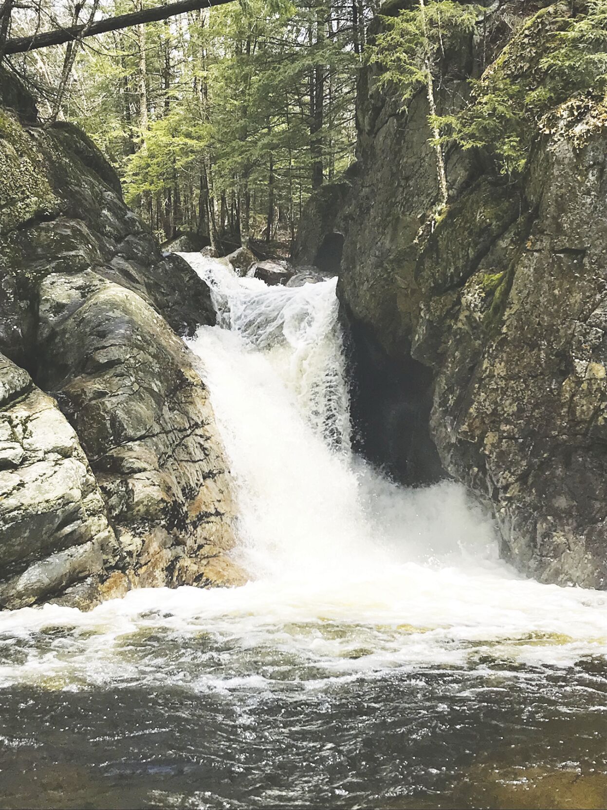 5-11-2024 Parsons-Great Falls