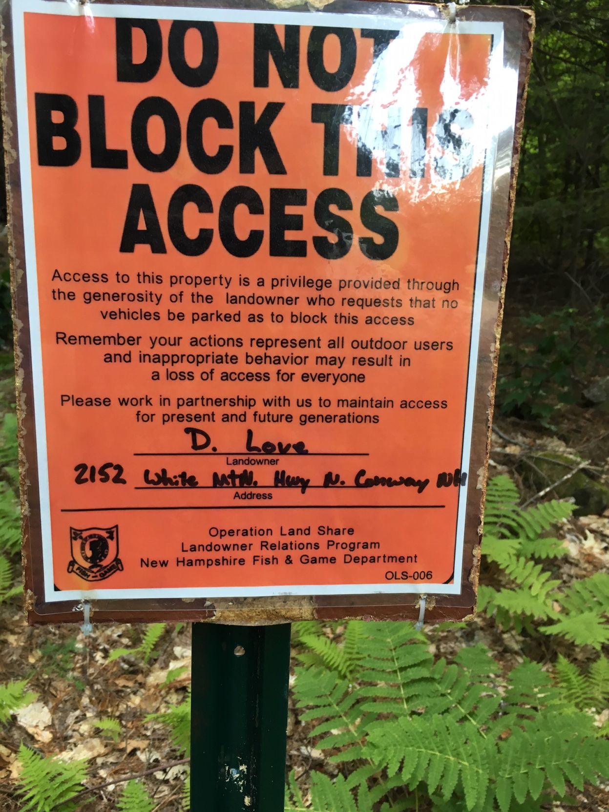 Conway end of Rockhouse Mountain Road