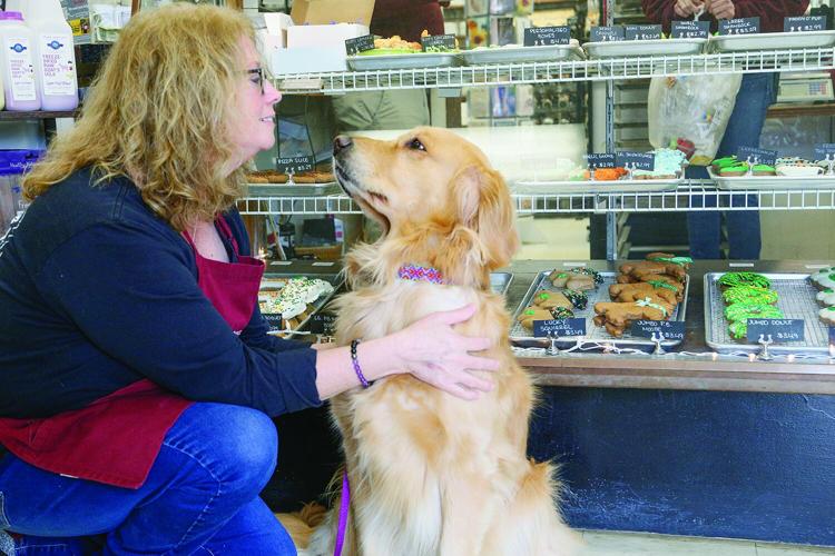 03-06-25 Kathy Ahearn petting violet medium