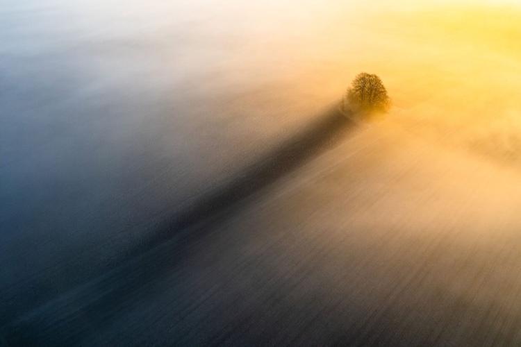 Drone photo award winners announced