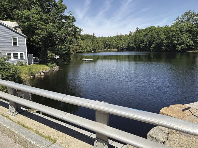 Mill Pond Ossipee