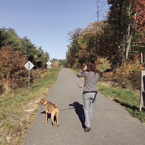 Wheel Family Fun - dog walker on Fryeburg's Mountain Division Trail