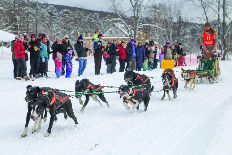 02-21-26 TOC Sled Dog crowd behind 1