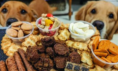 pet treats