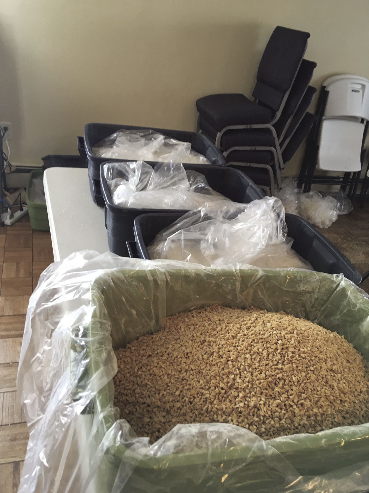 4-9-19 rise rice.jpg