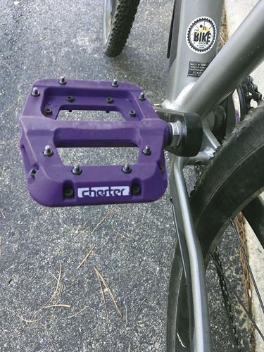 Wheel Family Fun - Chester flat pedals