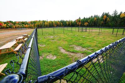 10-14-26 Dog Park corner fence