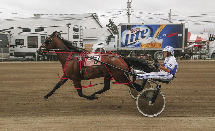 10-06-23 Fryeburg Fair harness side