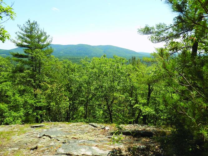 Mount Tom summit ledges