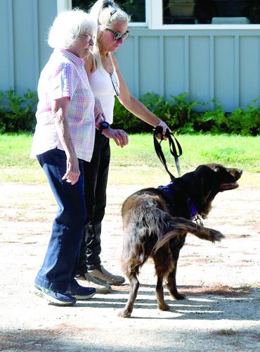 Meet the Trainer. - Marianne Finney