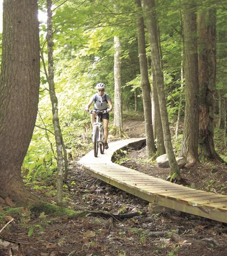 Wheel Family Fun - Pillar to Pond