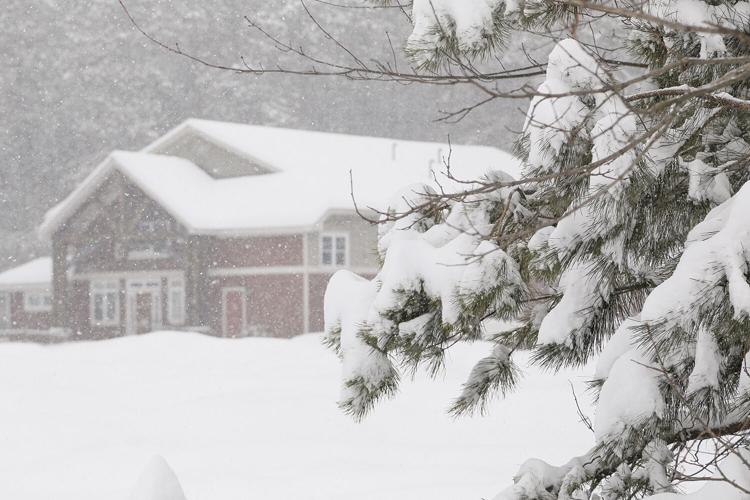 03-23-24 Snow branches building behind