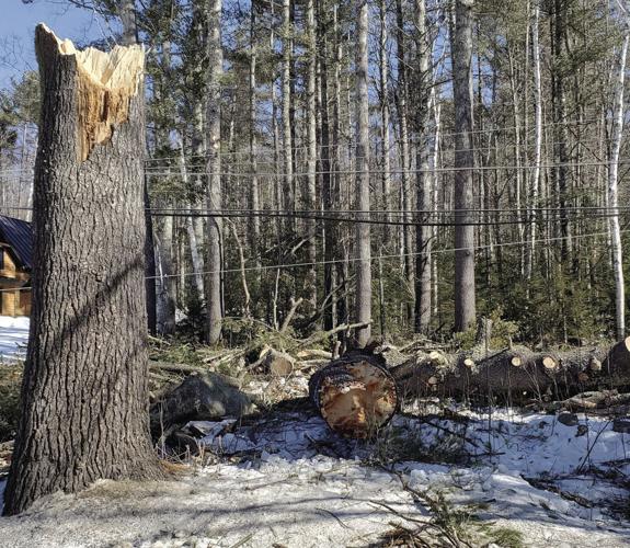 High winds - Tin Mine Road