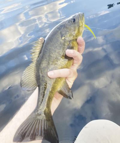 8-31-2024 North Country Angling-Labor Day