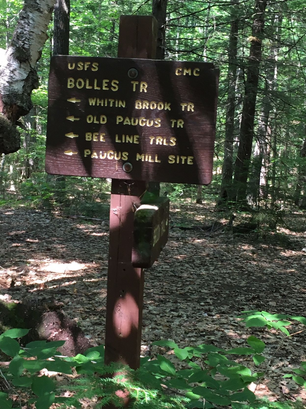 Paugus Trail sign
