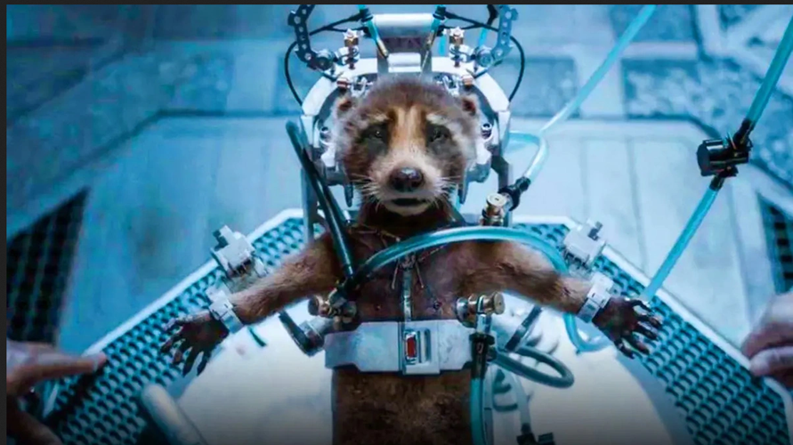 Guardians of the Galaxy Vol. 3-Rocket