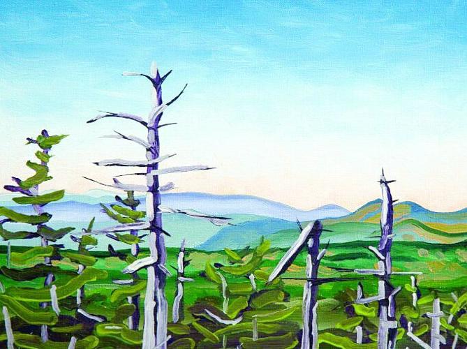 Krebs Press Release 2026