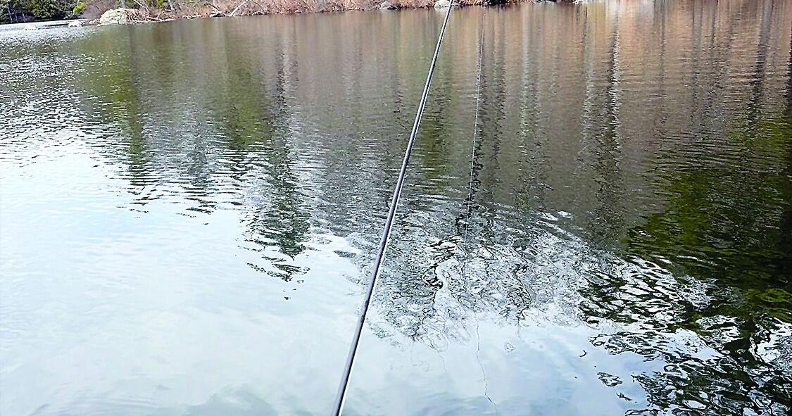 North Country Angling - sights and smells