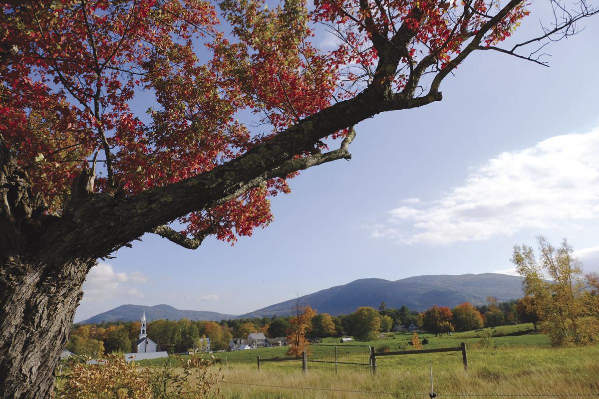 Fall Brings Fairs Foliage Festivals And Family Fun Local News Conwaydailysun Com