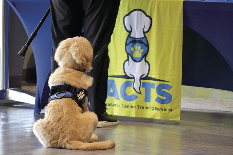 ACTS Graduation - loyal puppy