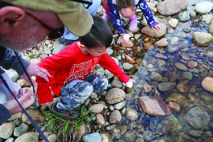 05-07-26 PT Trout Release medium above
