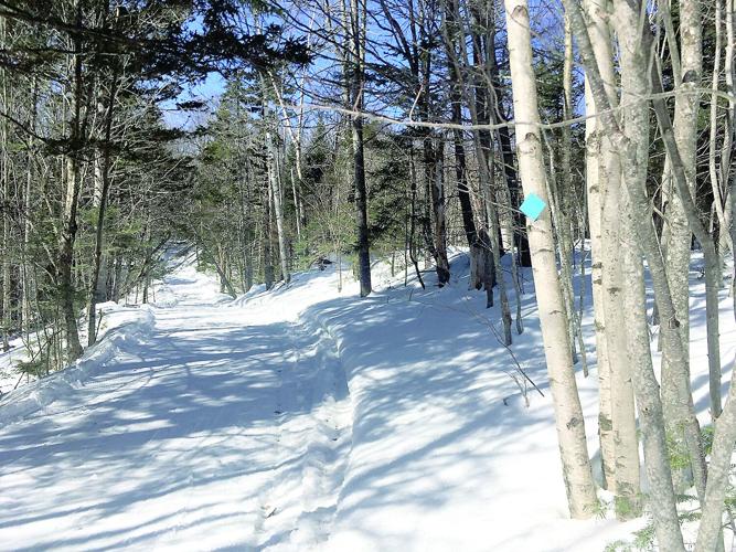 Nordic Tracks - skiing alone - 10K East Pasture Loop