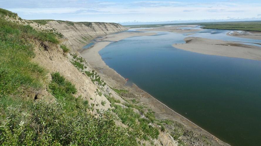New species reveal how animals might have survived in Arctic millions of years ago