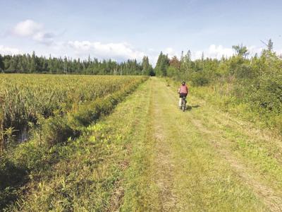 7-16-2021 Return to Cycling