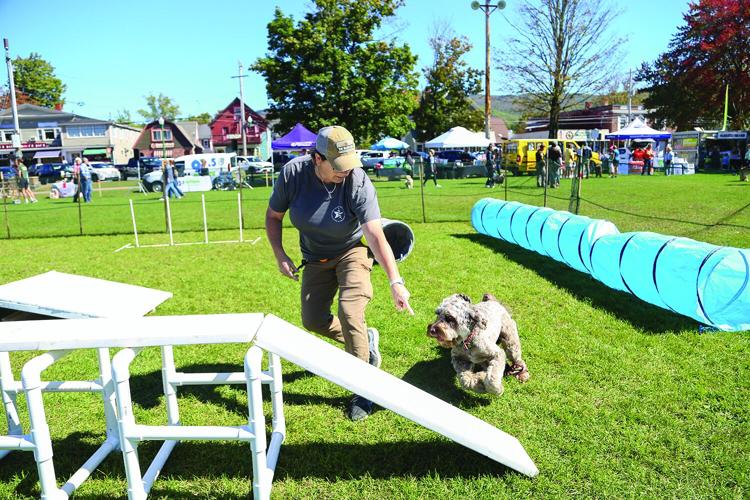 09-20-25 Bark in Park obstacle wider