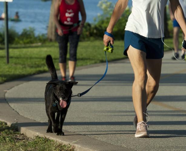 Regular exercise should be “critical” component of any attempt to lose weight