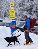 Keep the Whites Wild says Cog needs site plan review