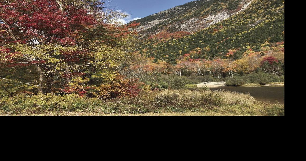 Valley sees record-breaking business during long holiday weekend