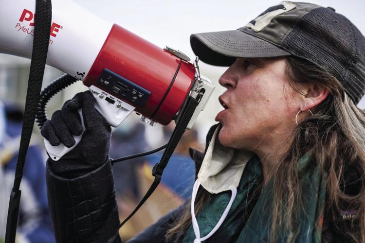 Nickie bull horn 4 advancer