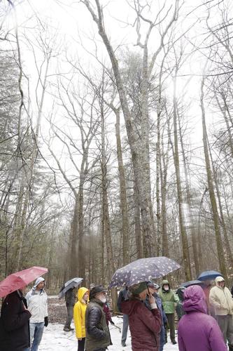 04-10-24 Tree Damage Tour vertical with group