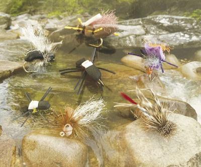 7-24-2021 North Country Angling-terrestrial flies