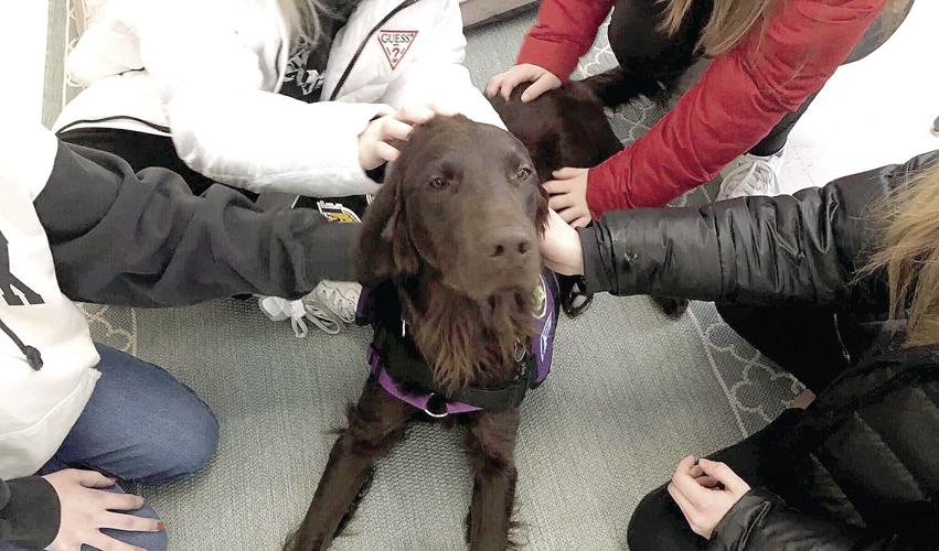 ACTS Graduation preview - Facility dog Frisco gets petted