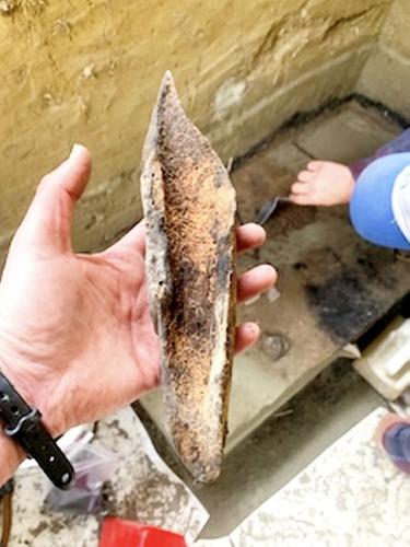 People living on land bridge linking North America to Asia hunted mammoths