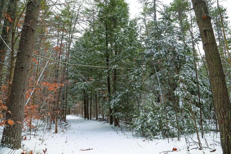 12-01-25 Snow whitaker wide 1