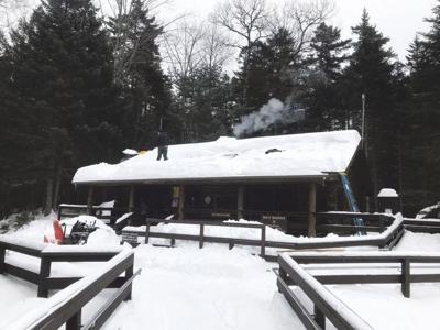 forest service