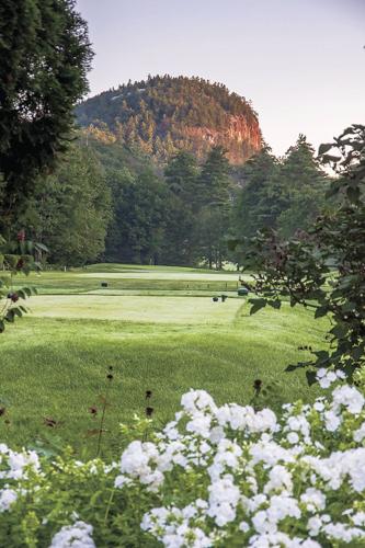 The Golf Column - Hales Location - Looking down the eighth fairway