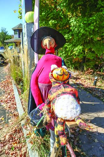 09-30-25 Pumpkin People white birch vertical tighter